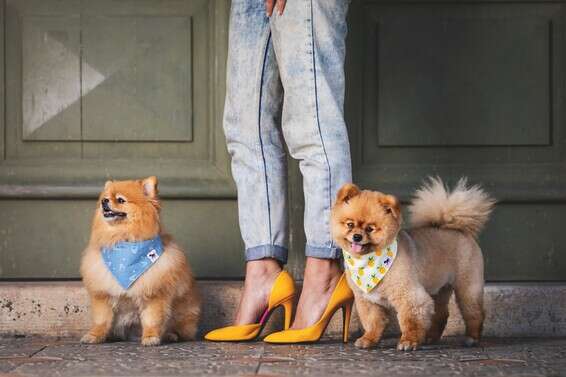 צילום: אלינור רוזמן למותג FLOKY